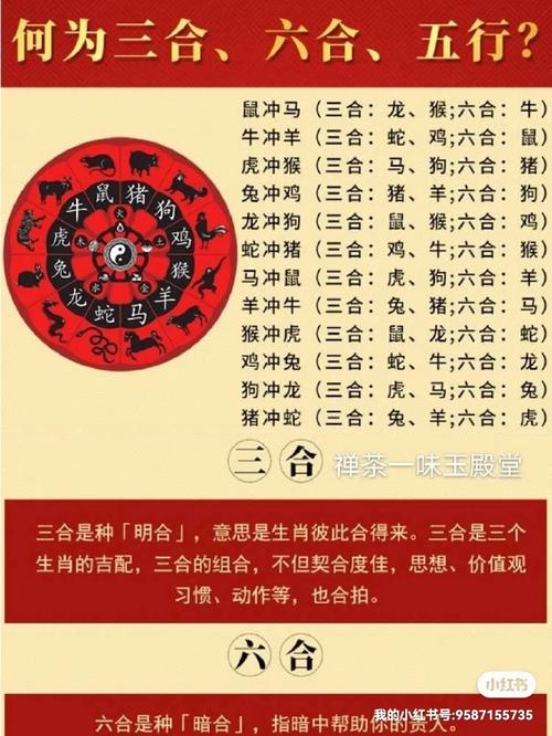 属兔的六个合<font color='red'>贵人</font> 兔的<font color='red'>贵人</font>是谁是什么意思？