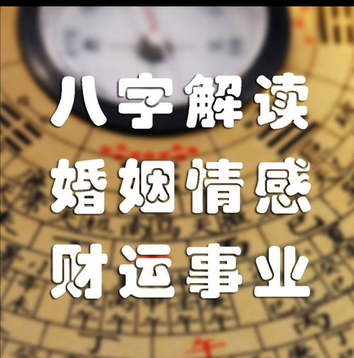 八字查命运免费算命(免费紫微十二宫命格详批)