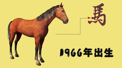 1966年属马人今年的运势