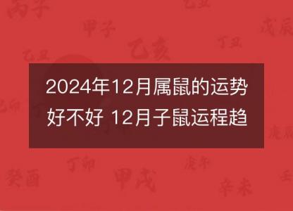 2024年12月属鼠的运势好不好 12月子鼠运程趋势解说