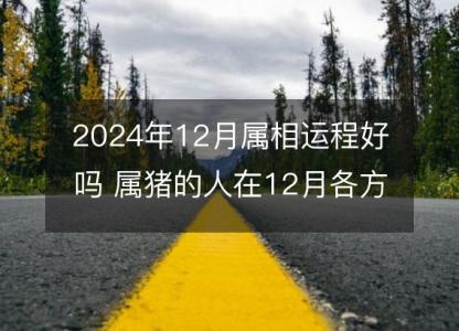 2024年12月属相运程好吗 属猪的人在12月各方面运势好吗