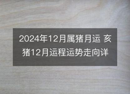 2024年12月属猪月运 亥猪12月运程运势走向详解