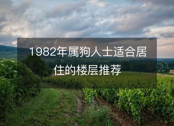 1982年属狗人士适合居住的楼层推荐