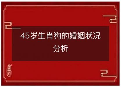 45岁生肖狗的婚姻状况分析