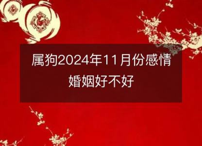 属狗2024年11月份感情婚姻好不好