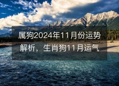 属狗2024年11月份运势解析，生肖狗11月运气好吗