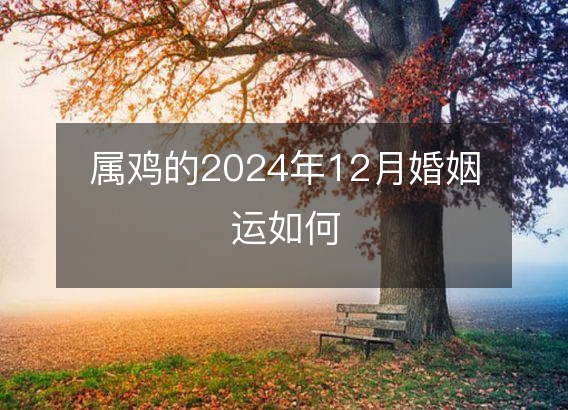 属鸡的2024年12月婚姻运如何