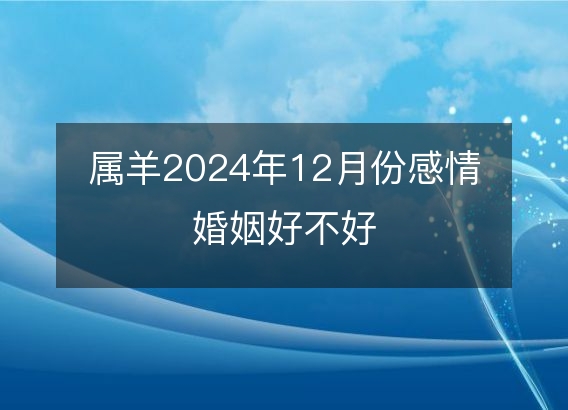 属羊2024年12月份感情婚姻好不好