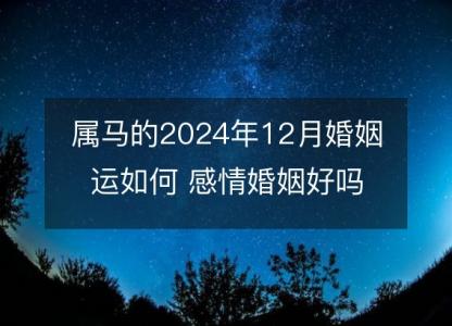 属马的2024年12月婚姻运如何 感情婚姻好吗