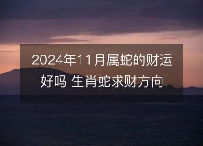 2024年11月属蛇的财运好吗 生肖蛇求财方向