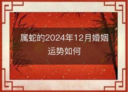 属蛇的2024年12月婚姻运势如何