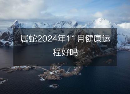 属蛇2024年11月健康运程好吗