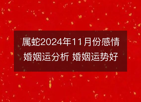 属蛇2024年11月份感情婚姻运分析 婚姻运势好吗