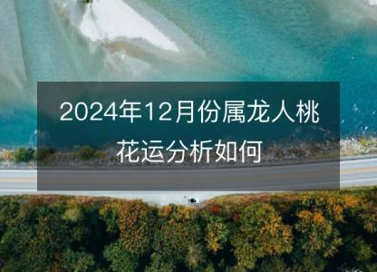 2024年12月份属龙人桃花运分析如何