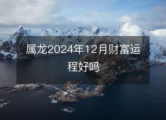 属龙2024年12月财富运程好吗