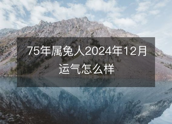 75年属兔人2024年12月运气怎么样