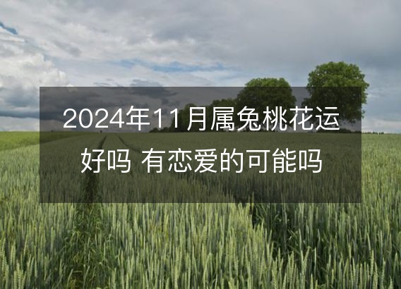 2024年11月属兔桃花运好吗 有恋爱的可能吗