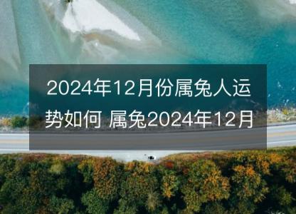 2024年12月份<font color='red'>属兔人</font>运势如何 属兔2024年12月份运程好吗