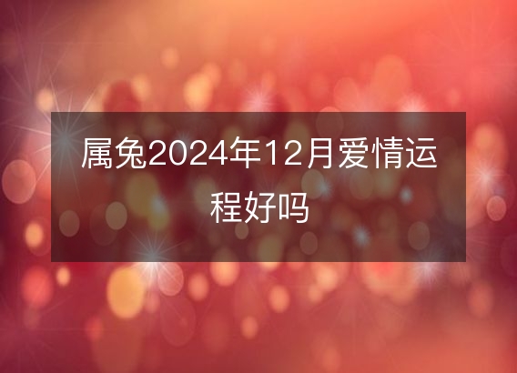 属兔2024年12月爱情运程好吗