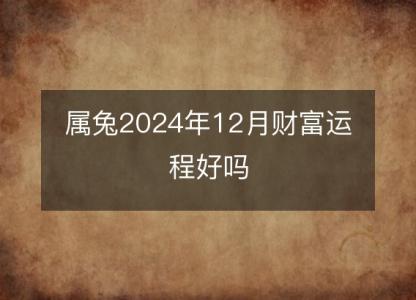 属兔2024年12月财富运程好吗