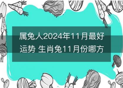 属兔人2024年11月最好运势 生肖兔11月份哪方面<font color='red'>运气好</font>