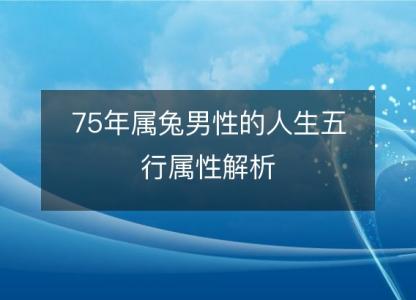 75年属兔男性的人生五行属性解析