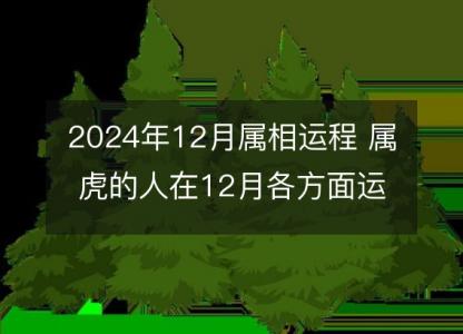 2024年12月属相运程 属虎的人在12月各方面运势好吗