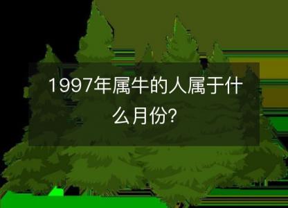 1997年属牛的人属于什么月份？