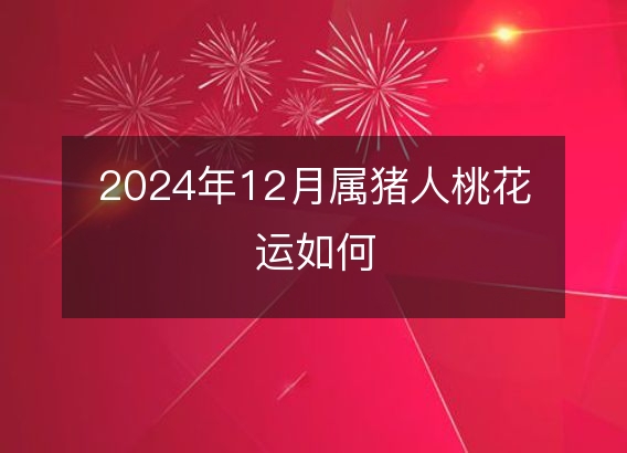 2024年12月属猪人桃花运如何