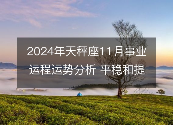 2024年天秤座11月事业运程运势分析 平稳和提高的重要期