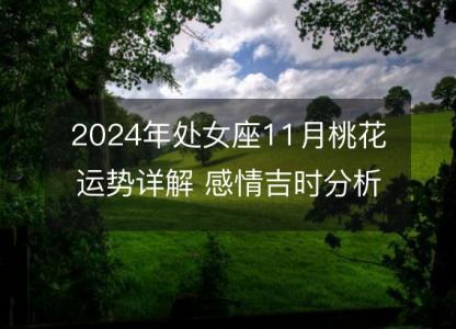 2024年处女座11月桃花运势详解 感情吉时分析