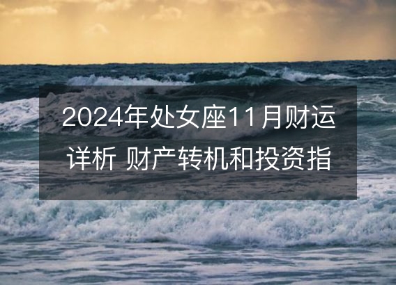 2024年处女座11月财运详析 财产转机和投资指南