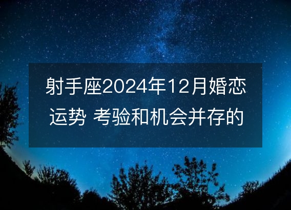 射手座2024年12月婚恋运势 考验和机会并存的转机点