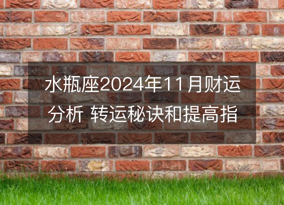 水瓶座2024年11月财运分析 转运秘诀和提高指南