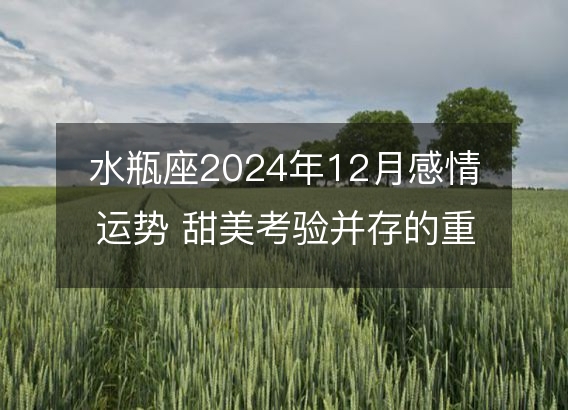 水瓶座2024年12月感情运势 甜美考验并存的重要期