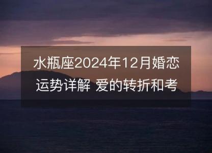 水瓶座2024年12月婚恋运势详解 爱的转折和考验