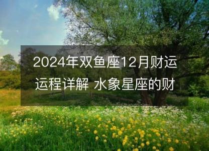 2024年双鱼座12月财运运程详解 水象星座的财务转机点