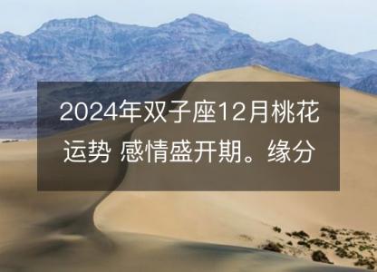 2024年双子座12月桃花运势 感情盛开期。缘分配对分析