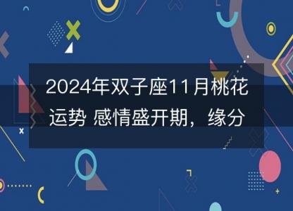 2024年双子座11月桃花运势 感情盛开期，缘分配对分析