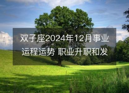 双子座2024年12月事业运程运势 职业升职和发展前瞻