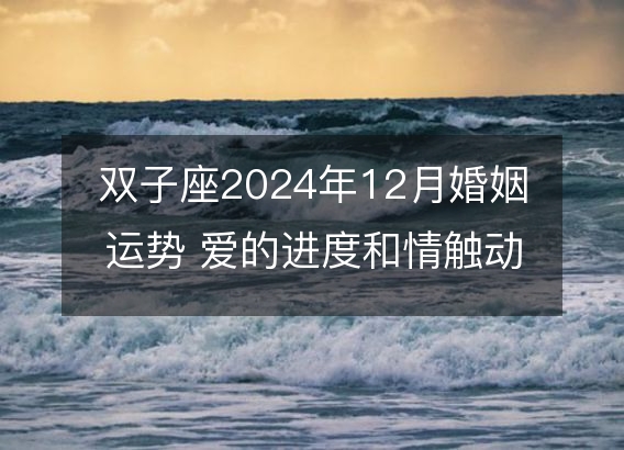 双子座2024年12月婚姻运势 爱的进度和情触动态分析