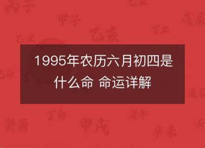 1995年农历六月初四是什么命 命运<font color='red'>详解</font>