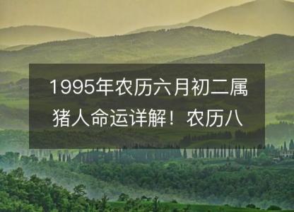 1995年农历六月初二属猪人命运<font color='red'>详解</font>！农历八字五行缺什么 婚姻事业