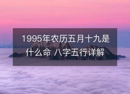 1995年农历五月十九是什么命 八字五行<font color='red'>详解</font>