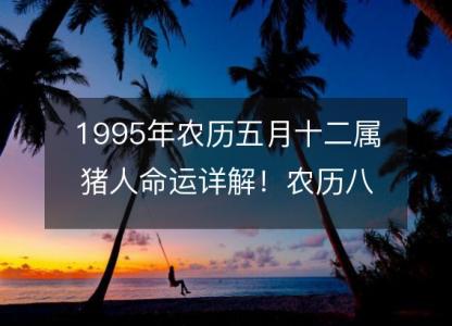 1995年农历五月十二属猪人命运<font color='red'>详解</font>！农历八字五行缺什么 婚姻事业