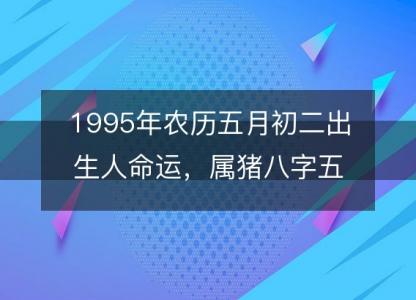 1995年农历五月初二出生人命运，属猪八字五行缺什么 性格感情<font color='red'>详解</font>