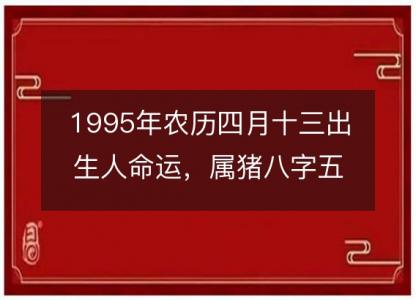 1995年农历四月十三出生人命运，属猪八字五行缺什么 性格感情<font color='red'>详解</font>