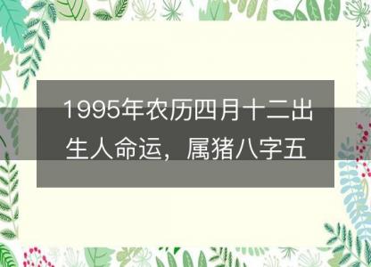 1995年农历四月十二出生人命运，属猪八字五行缺什么 性格感情<font color='red'>详解</font>