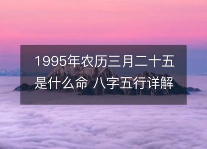 1995年农历三月二十五是什么命 八字五行<font color='red'>详解</font>