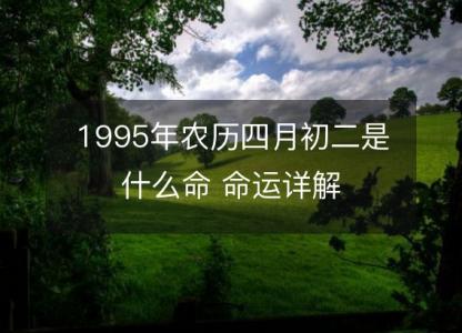 1995年农历四月初二是什么命 命运<font color='red'>详解</font>